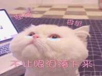 付临门（广东）网络科技有限公司