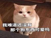 付临门（广东）网络科技有限公司