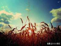 付临门（广东）网络科技有限公司