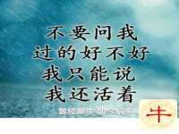 付临门（广东）网络科技有限公司