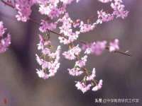 付临门（广东）网络科技有限公司
