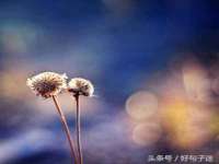 付临门（广东）网络科技有限公司