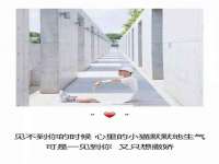 付临门（广东）网络科技有限公司