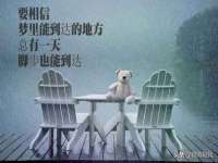 付临门（广东）网络科技有限公司
