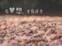 付临门（广东）网络科技有限公司