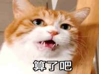 付临门（广东）网络科技有限公司