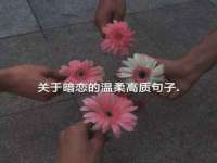 付临门（广东）网络科技有限公司