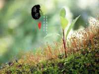 付临门（广东）网络科技有限公司