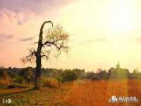 付临门（广东）网络科技有限公司