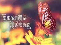 付临门（广东）网络科技有限公司