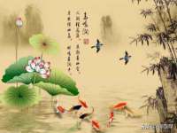 付临门（广东）网络科技有限公司