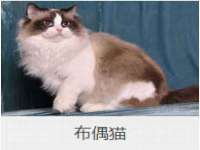 付临门（广东）网络科技有限公司