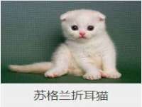 付临门（广东）网络科技有限公司
