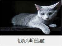 付临门（广东）网络科技有限公司
