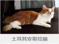 付临门（广东）网络科技有限公司