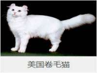 付临门（广东）网络科技有限公司