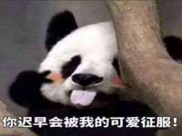 付临门（广东）网络科技有限公司
