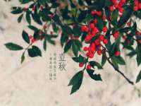 付临门（广东）网络科技有限公司