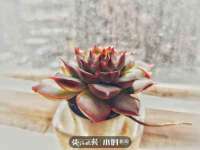 付临门（广东）网络科技有限公司