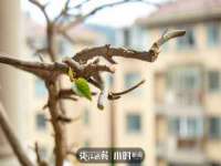 付临门（广东）网络科技有限公司