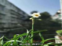 付临门（广东）网络科技有限公司