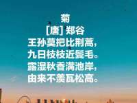 付临门（广东）网络科技有限公司