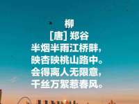 付临门（广东）网络科技有限公司