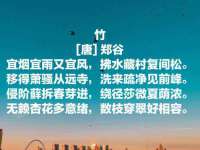 付临门（广东）网络科技有限公司
