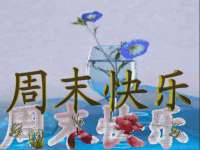 付临门（广东）网络科技有限公司