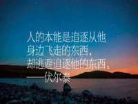 付临门（广东）网络科技有限公司