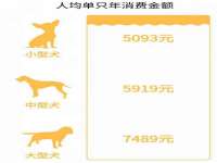 付临门（广东）网络科技有限公司