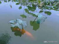 付临门（广东）网络科技有限公司