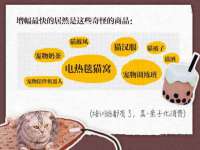 付临门（广东）网络科技有限公司