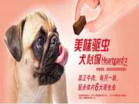 付临门（广东）网络科技有限公司