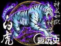 付临门（广东）网络科技有限公司