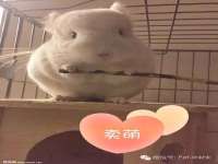 付临门（广东）网络科技有限公司