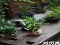 付临门（广东）网络科技有限公司