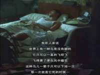 付临门（广东）网络科技有限公司