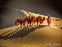 付临门（广东）网络科技有限公司
