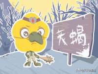 付临门（广东）网络科技有限公司