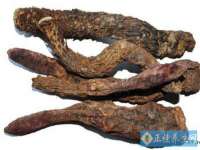付临门（广东）网络科技有限公司