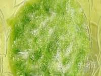 付临门（广东）网络科技有限公司