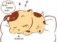 付临门（广东）网络科技有限公司