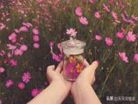 付临门（广东）网络科技有限公司