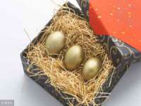 付临门（广东）网络科技有限公司