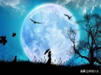 付临门（广东）网络科技有限公司