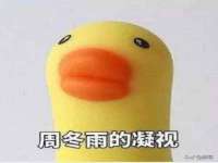 付临门（广东）网络科技有限公司