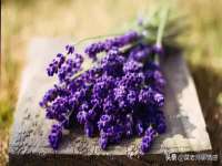 付临门（广东）网络科技有限公司
