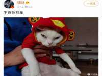 付临门（广东）网络科技有限公司