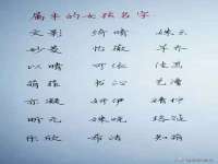 付临门（广东）网络科技有限公司